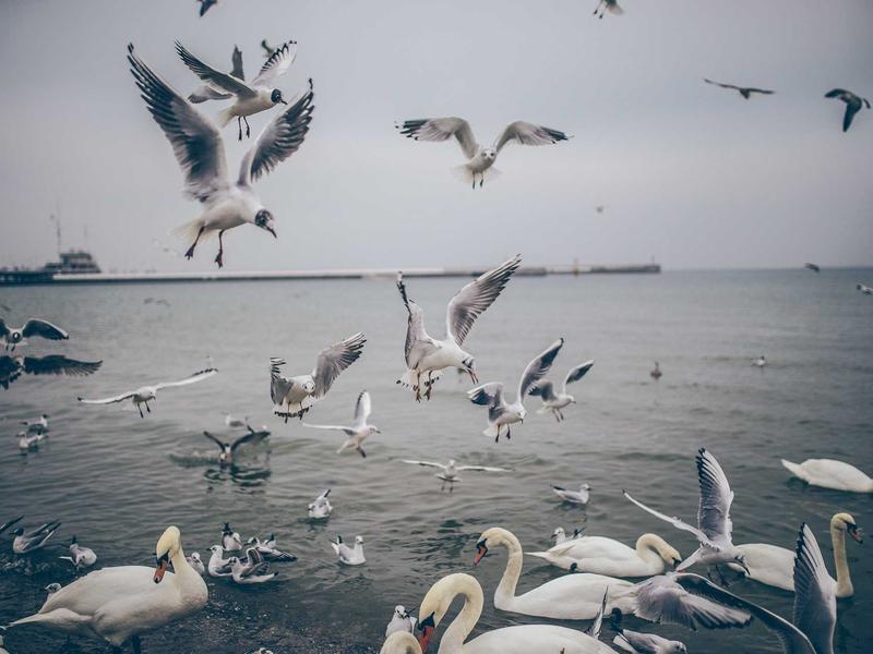 windows screenshot 5